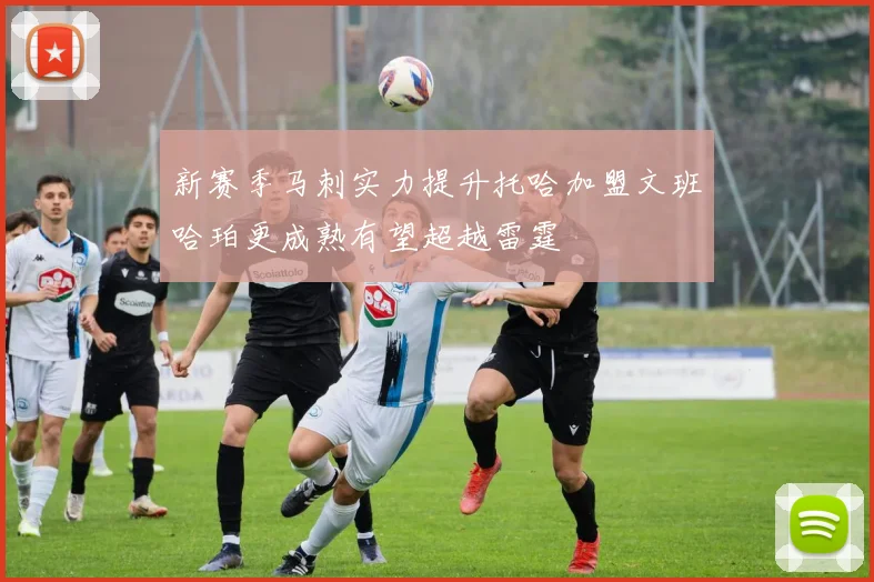 新赛季马刺实力提升托哈加盟文班哈珀更成熟有望超越雷霆