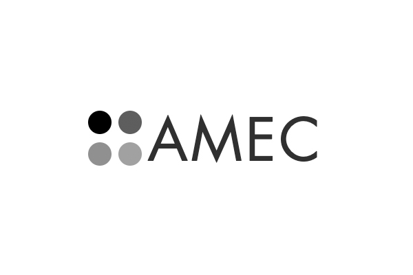 Amec consulting
